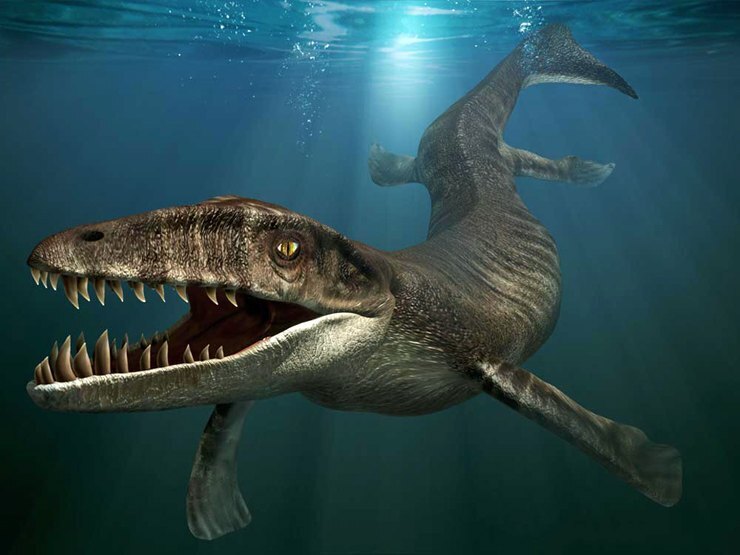 Гигантский ихтиозавр обнаружен в Альпах