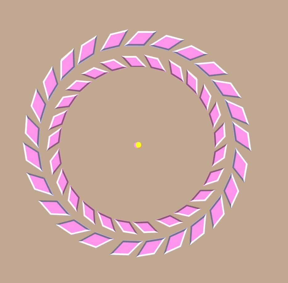 Иллюзия воображения или что воспринимает наш мозг