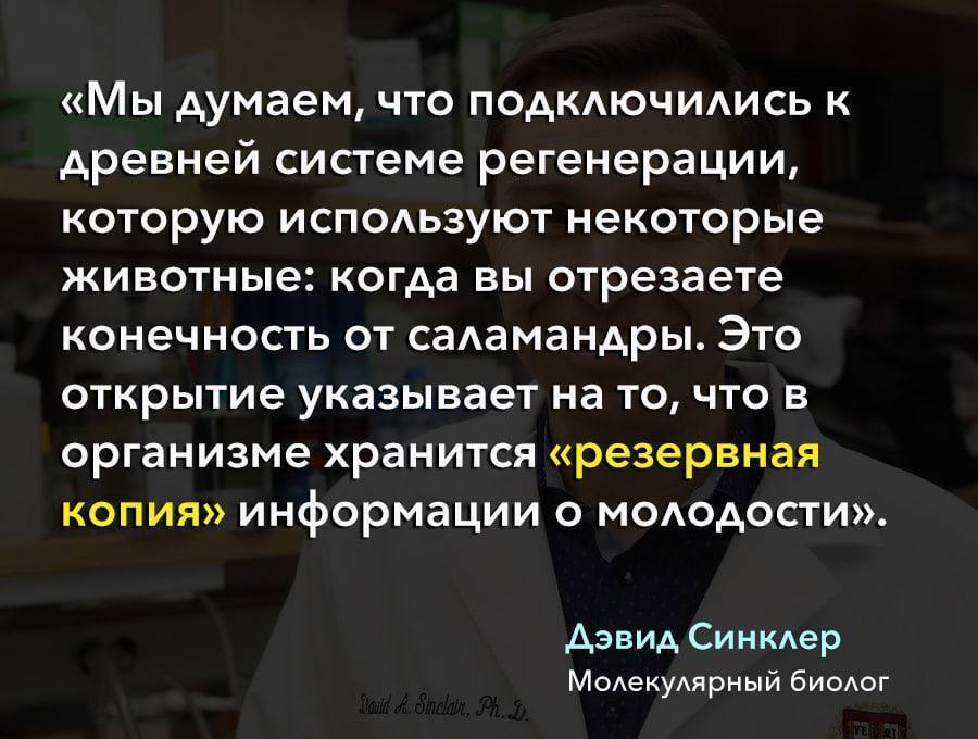 Учёные «перезагрузили» возраст мышей, восстановив утраченное зрение и омолодив их мозг — то же самое теперь хотят сделать и с человеком.