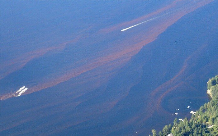 Вам нравится жить в России?