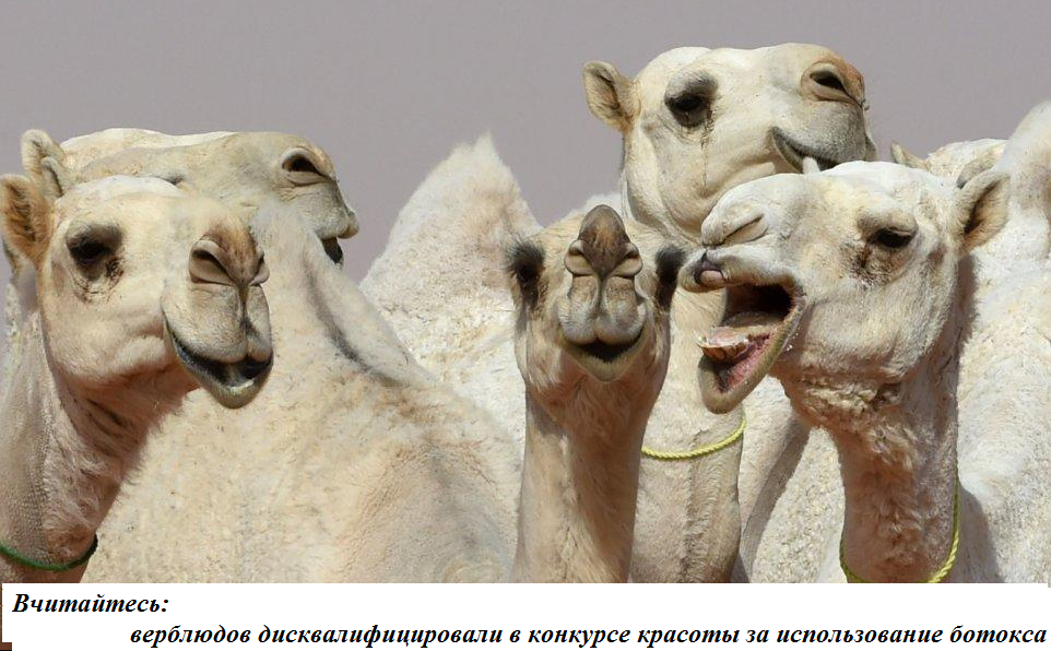 Крымская весенняя красавица. Спорный вопрос.