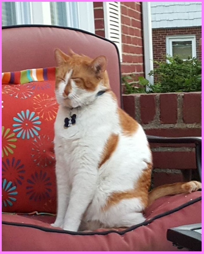 Пикантные фото: показалось