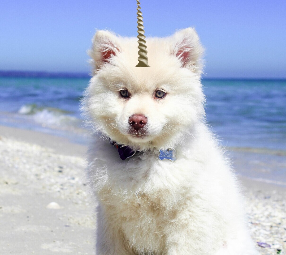 Продам единорога