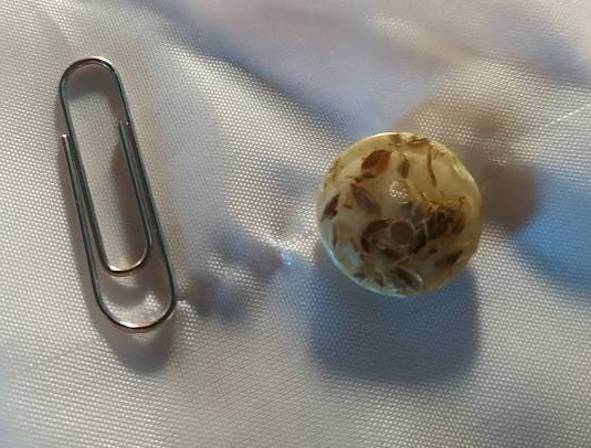 Как легко вдеть нитку в иголку, оторвалась пуговица на блузке или брюках, зацепка на колготках? Не беда. С этим можно справиться даже в офисе 