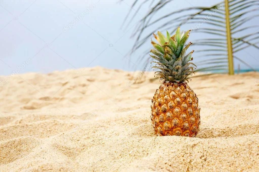 Интересные факты, которые Вам будут интересны ( часть вторая)