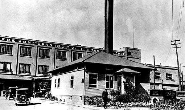 Умерла Энн Тернер Кук, портрет которой является логотипом известнейшей компании Gerber c 1928 года. Ей было 95 лет.