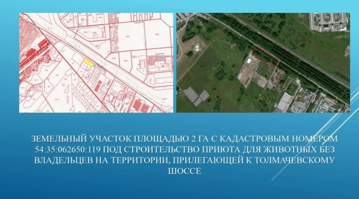 Приют для животных построят в Новосибирске: около 4 500 питомцев обретут дом, и, возможно, найдут новых хозяев