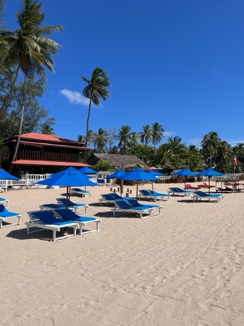 Жизнь других: как Шри-Ланка пытается бороться с экономическим кризисом и причем здесь арестованный самолет "Аэрофлота". Отзыв о туристической поездке