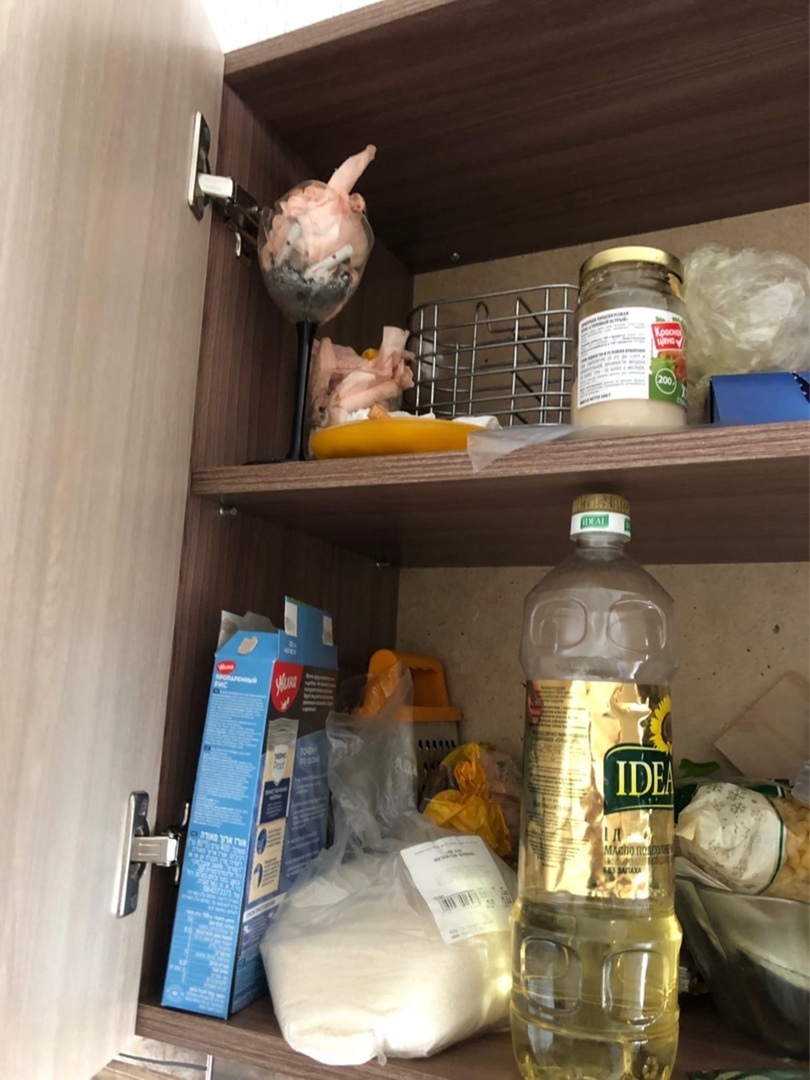 Сдали квартиру свиньям. На результат смотрите сами!