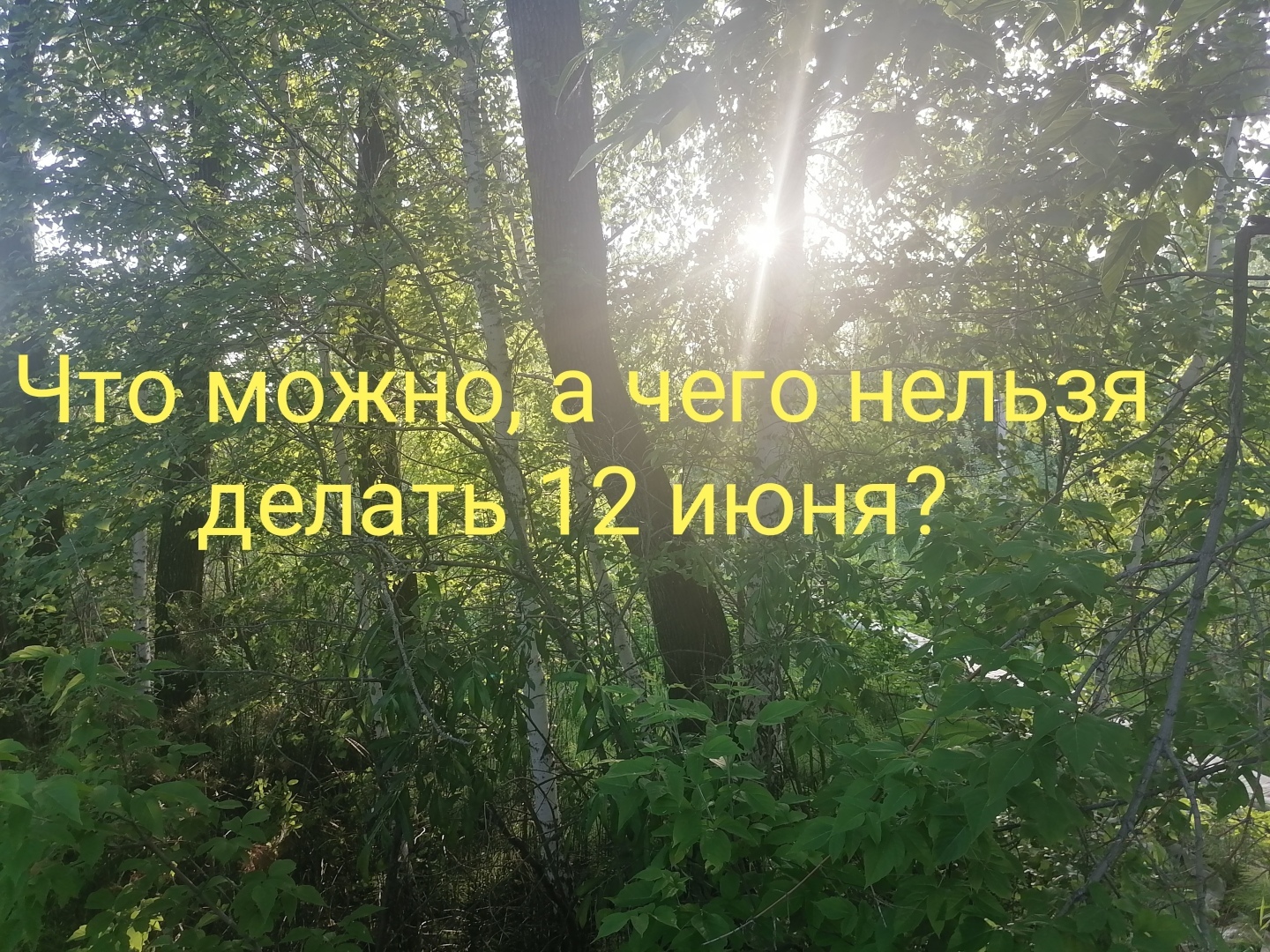 Какой праздник вы отмечаете сегодня: День России или Троицу? Что не рекомендуют делать 12 июня