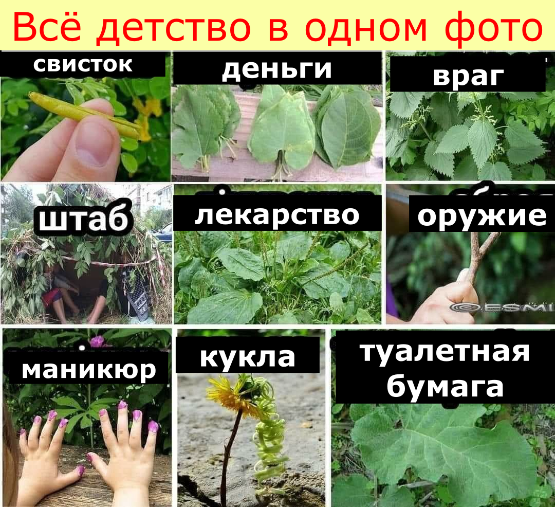 Всё детство на одном фото. Вам это знакомо?