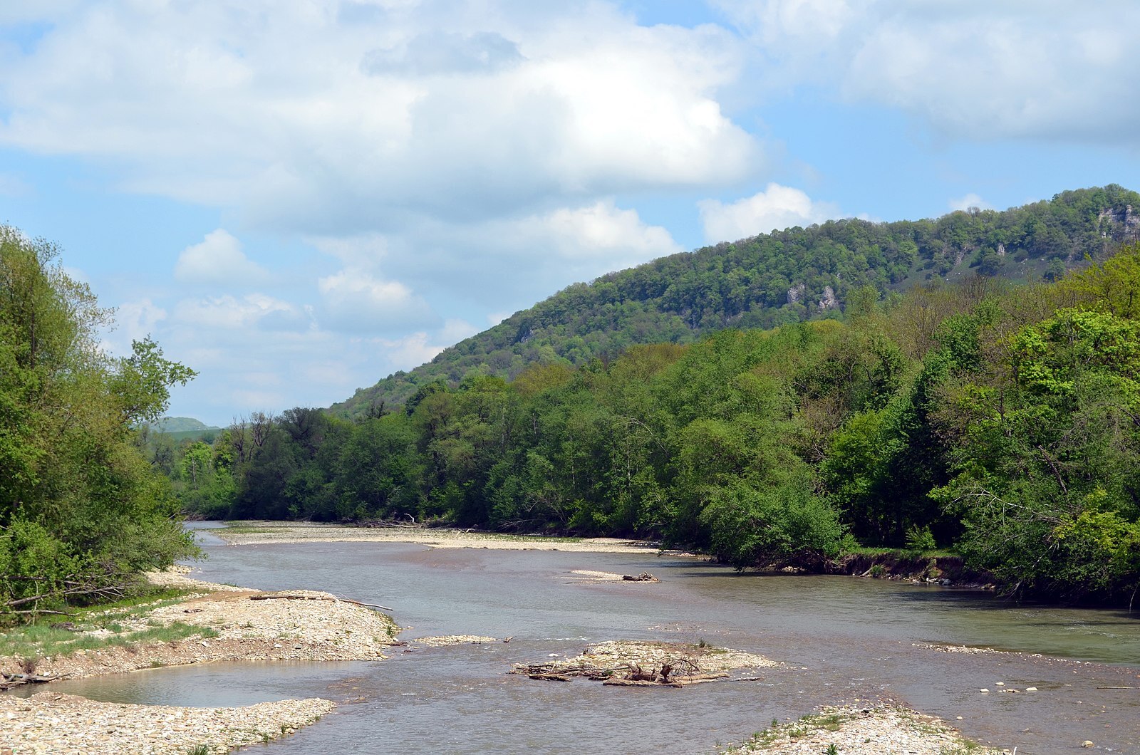Как мы отметили день России. Прекрасный отдых на берегу речки.
