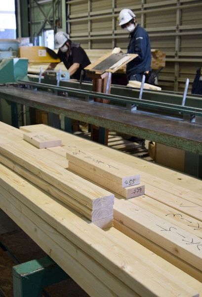 Япония получила "Древесный шок". Японские санкции в деле.