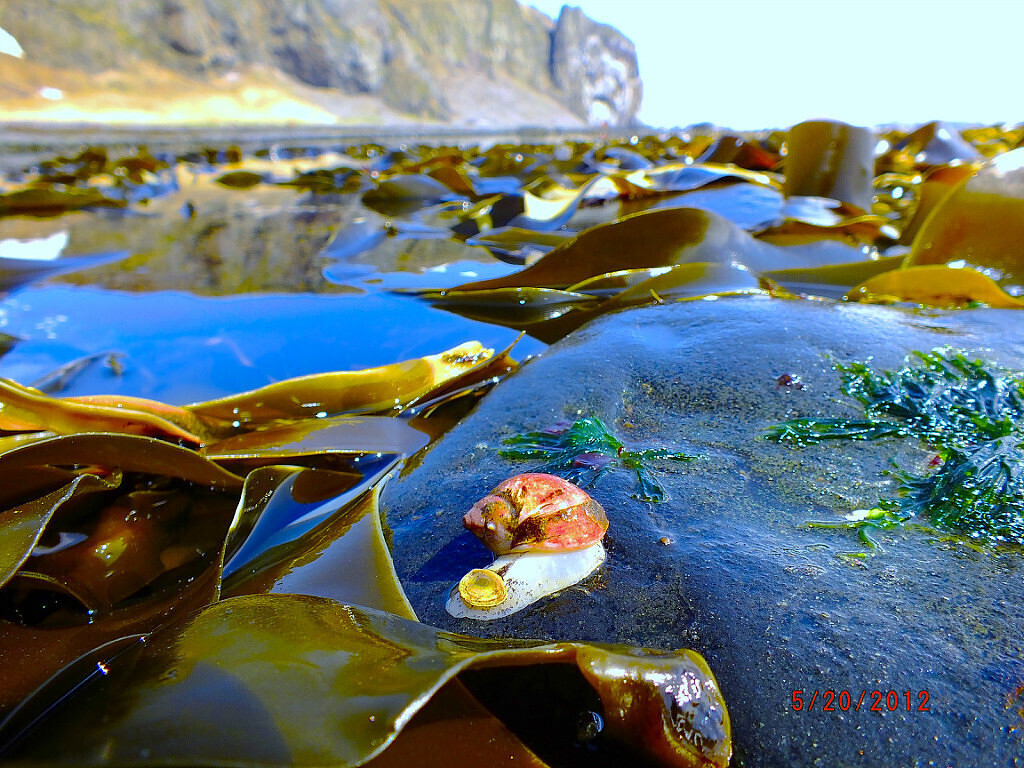 Куда не стоит ехать на заработки