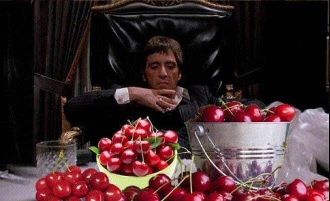 2 кг зараженной черешни нашли в ручной клади у пассажира, прилетевшего в Иркутск из Республики ТаджикистанВ ягодах обнаружена бурая монилиозная гнил