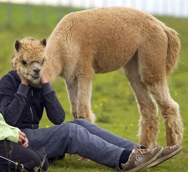 Смешные фото в стиле "обман зрения" или "Показалось".