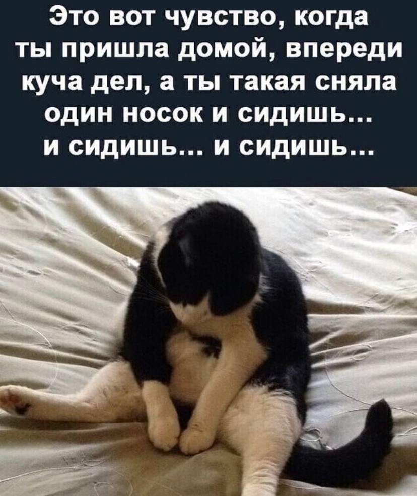 кошка не спит на кровати