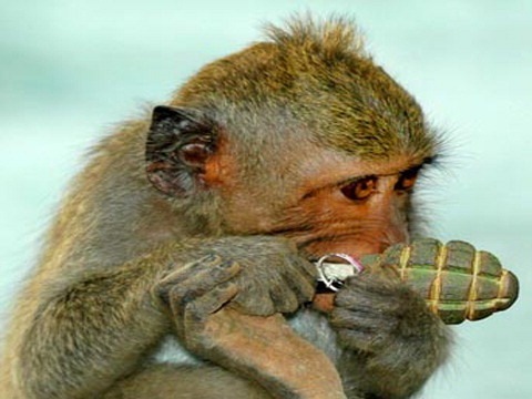 Женщина-водитель: за и против?!