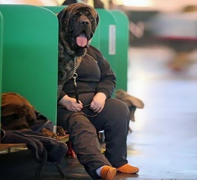 Смешные фото в стиле "обман зрения" или "Показалось".