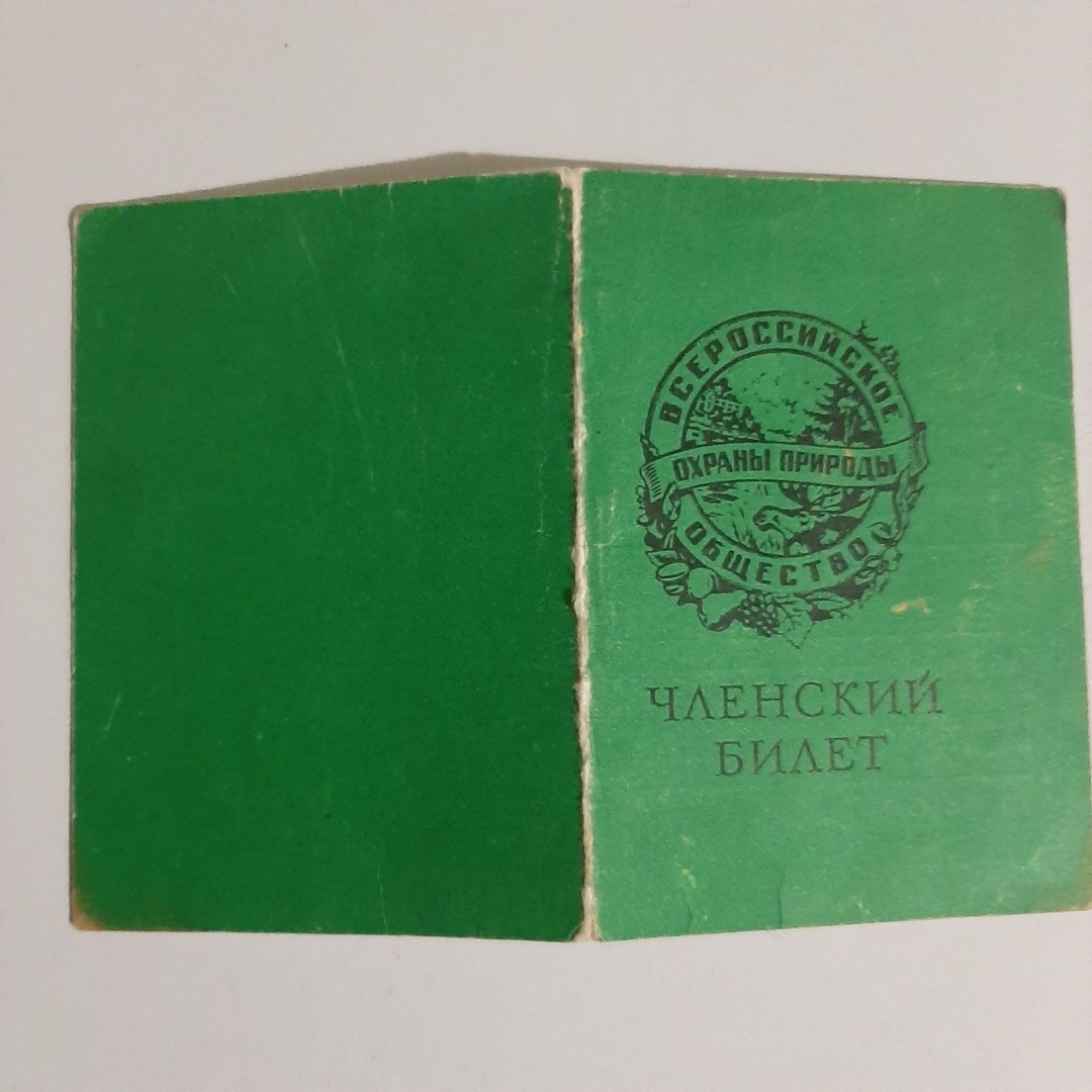 Фотографии моей семьи из моего детства! Приложение к рассказам о детстве в СССР с пояснениями