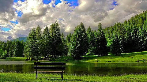 Никогда ни о чем не жалейте