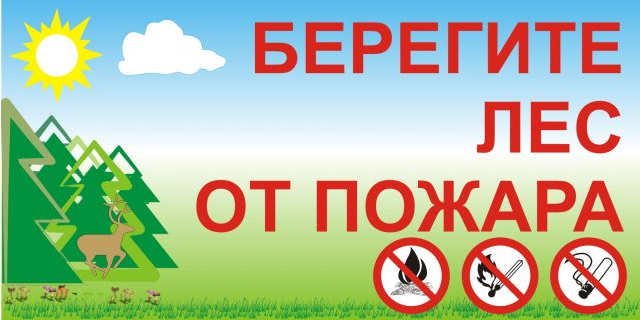 С 8 июля за нарушение противопожарных правил нахождения в лесах увеличились штрафы