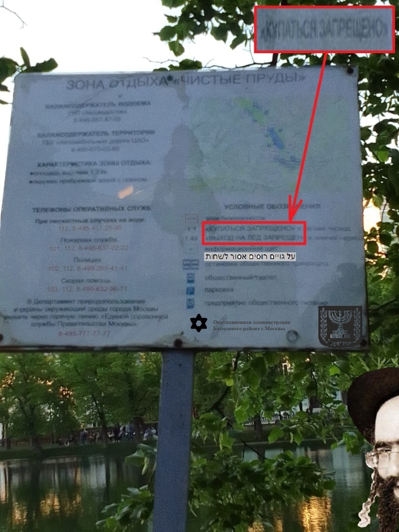 Чистые пруды, застенчивые ивы? Разоблачение бессовестной лжи! Расследование, которое привело к шокирующим открытиям