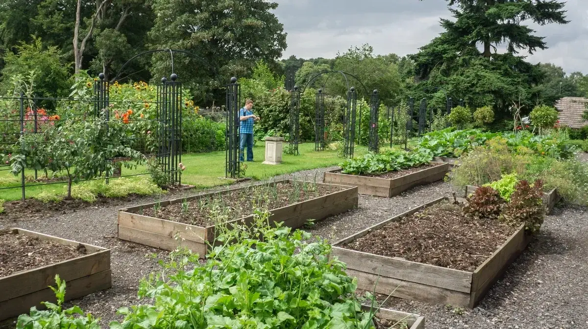 Что нужно высаживать с 20 июня по 10 июля 2022, по лунному календарю: какие удачные и неудачные дни посадки на даче и огороде,