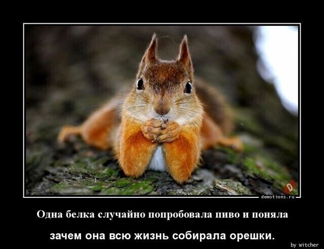 Весёлые картинки (часть 41)