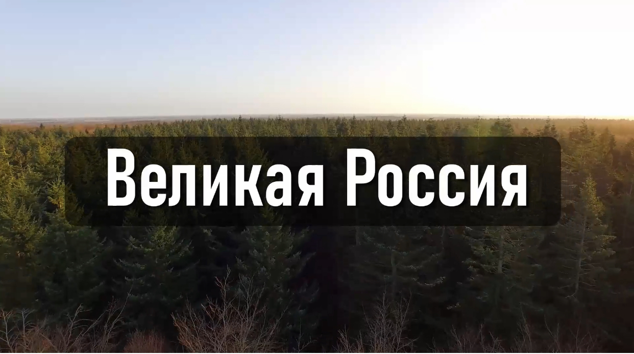 Налоги в России: сколько денег у вас забирает государство