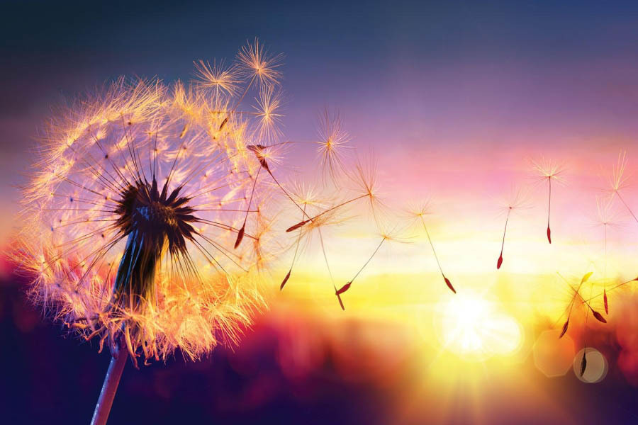 Как прошел ваш день?)