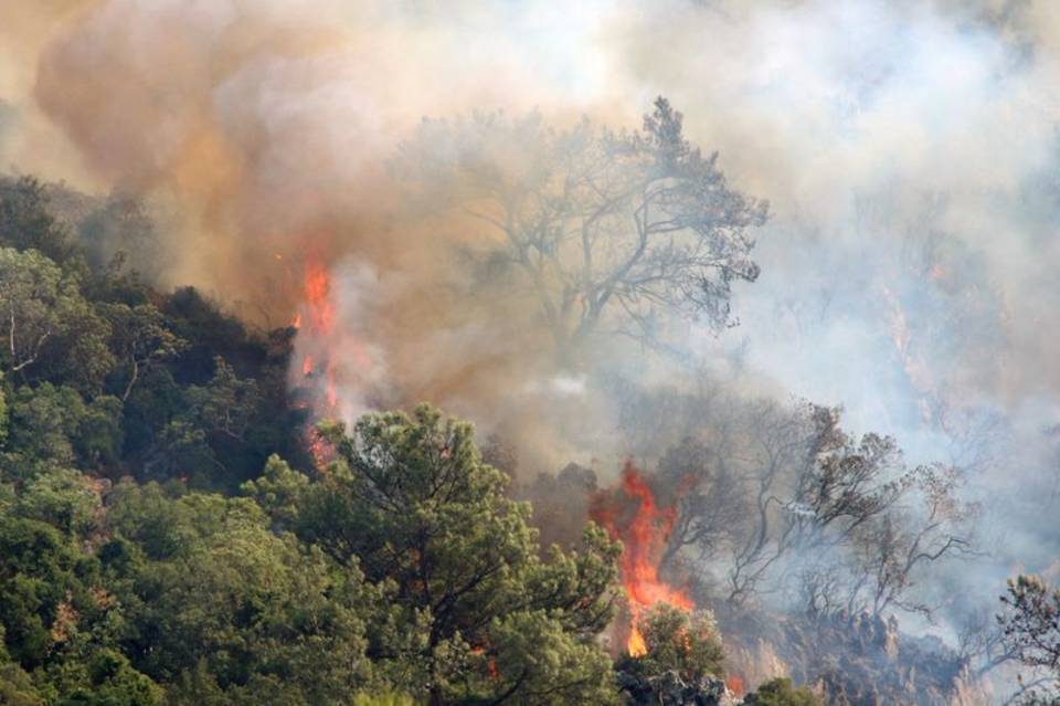 Лесные пожары на юге Турции и Кипре продолжают бушевать