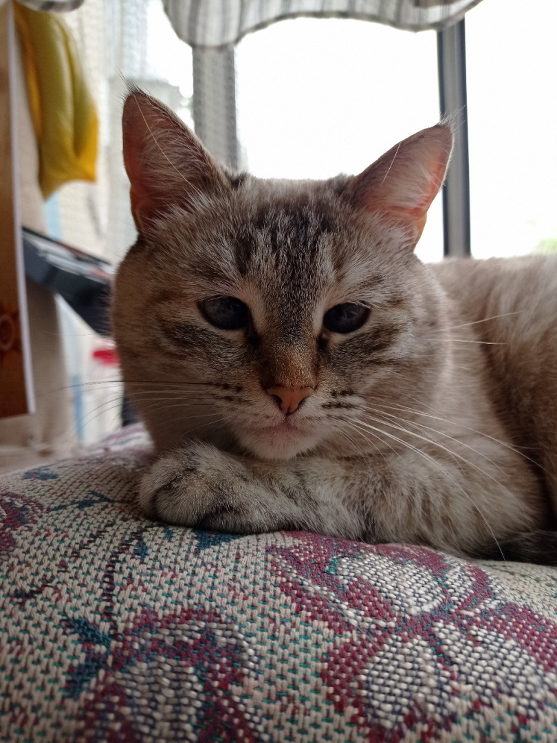 Сама красота!