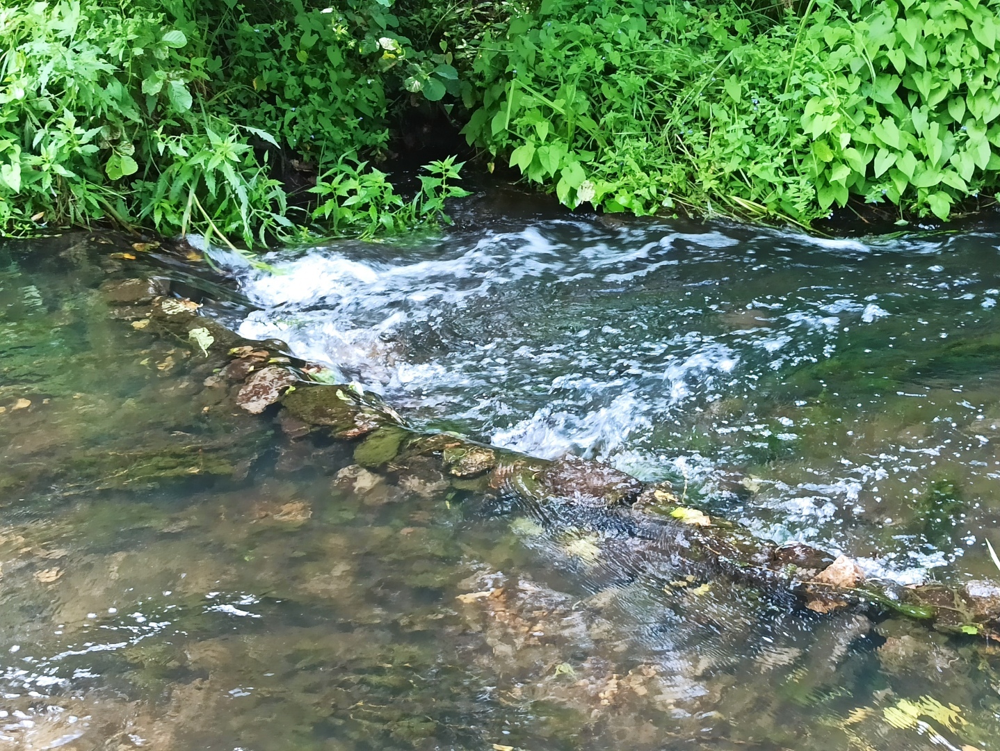 Хочу поделится красотой :)