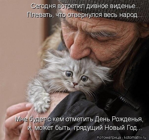 Как коты помогают в тяжелых жизненных ситуациях