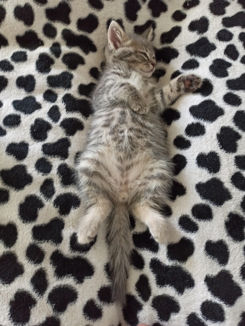 Хочу поделится красотой :)