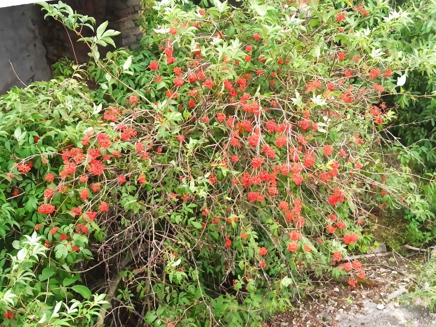 Хочу поделится красотой :)