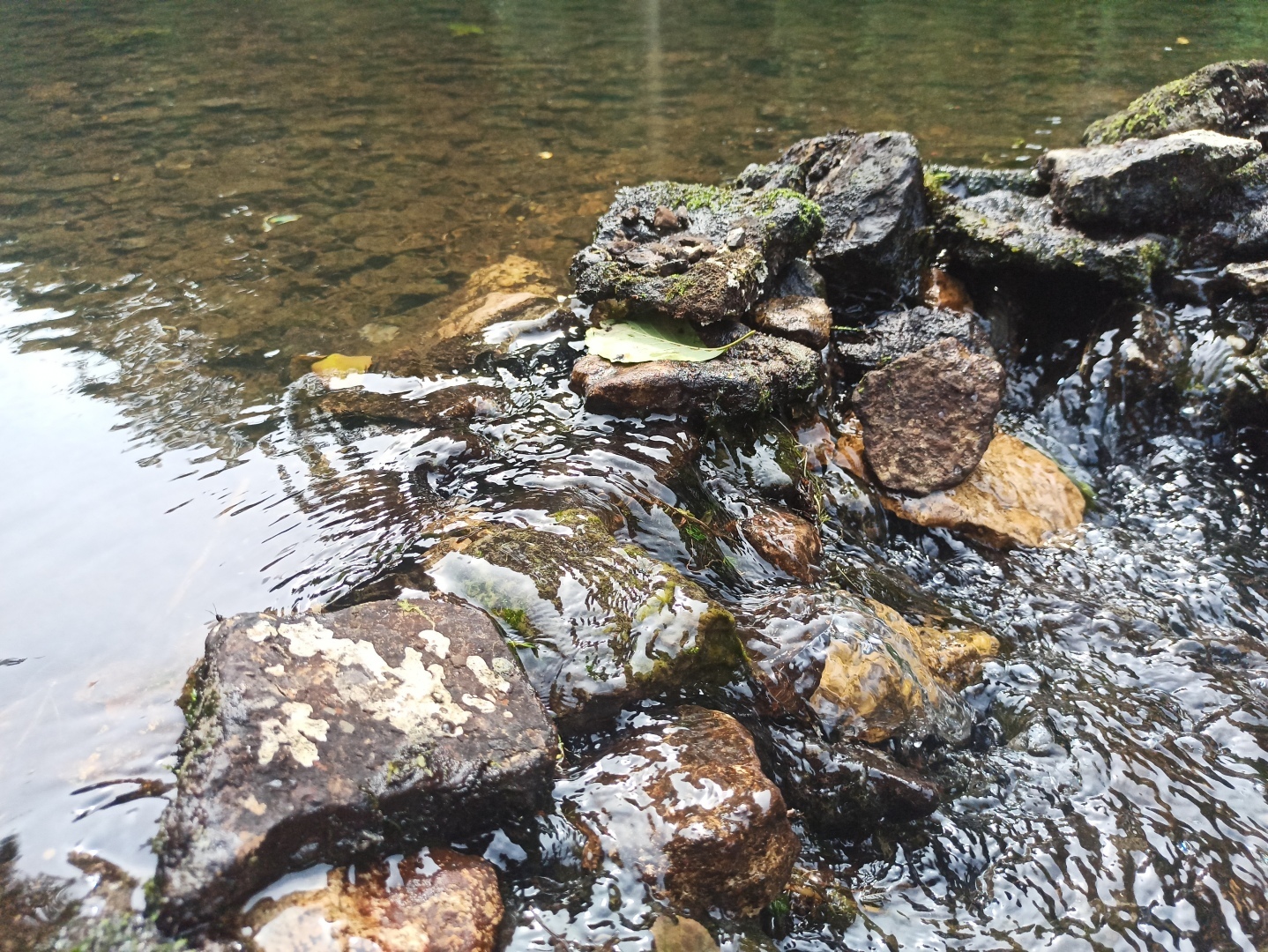 Хочу поделится красотой :)