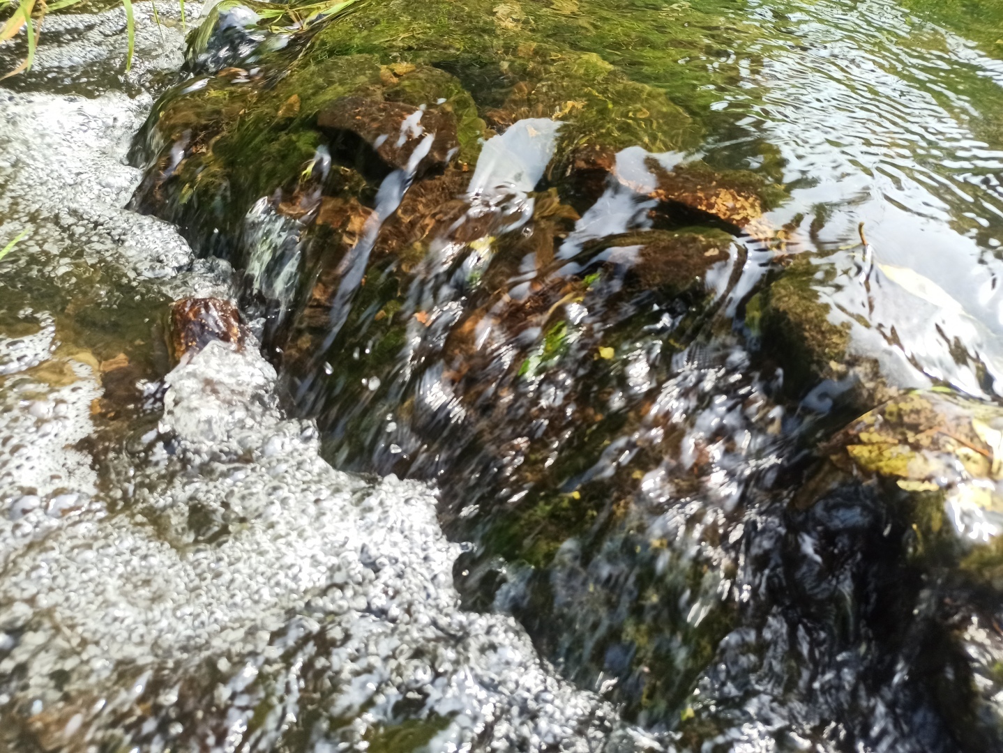 Хочу поделится красотой :)