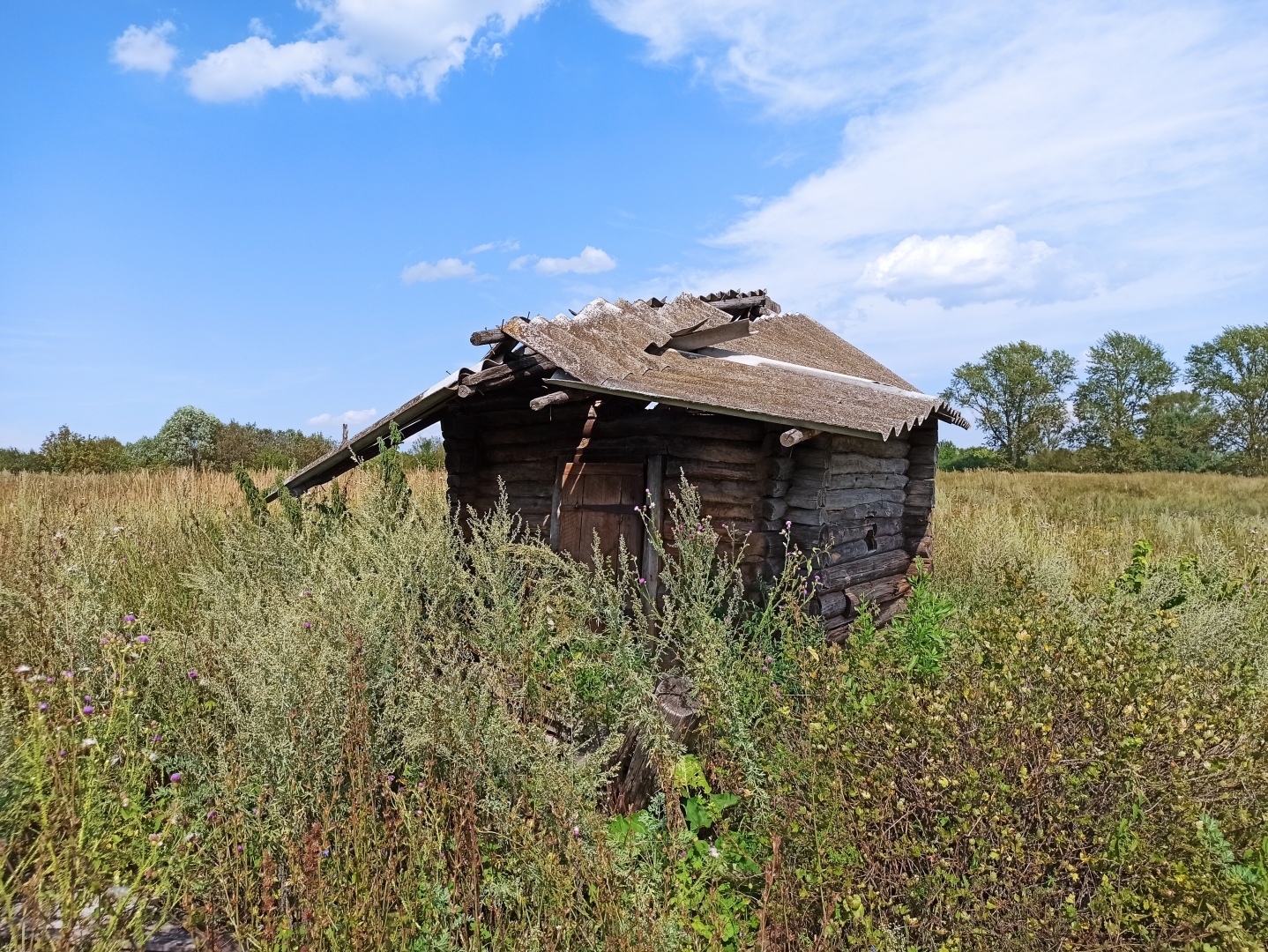 Хочу поделится красотой :)