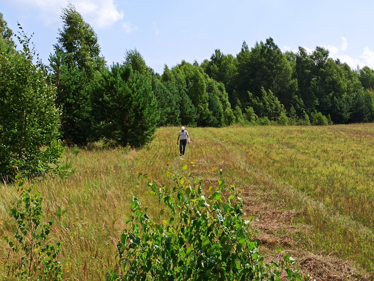 Хочу поделится красотой :)
