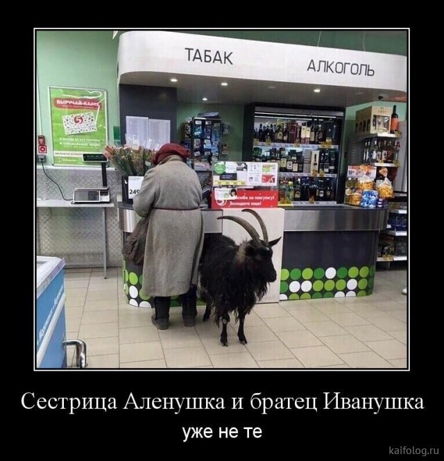 Весёлые картинки (часть 42)