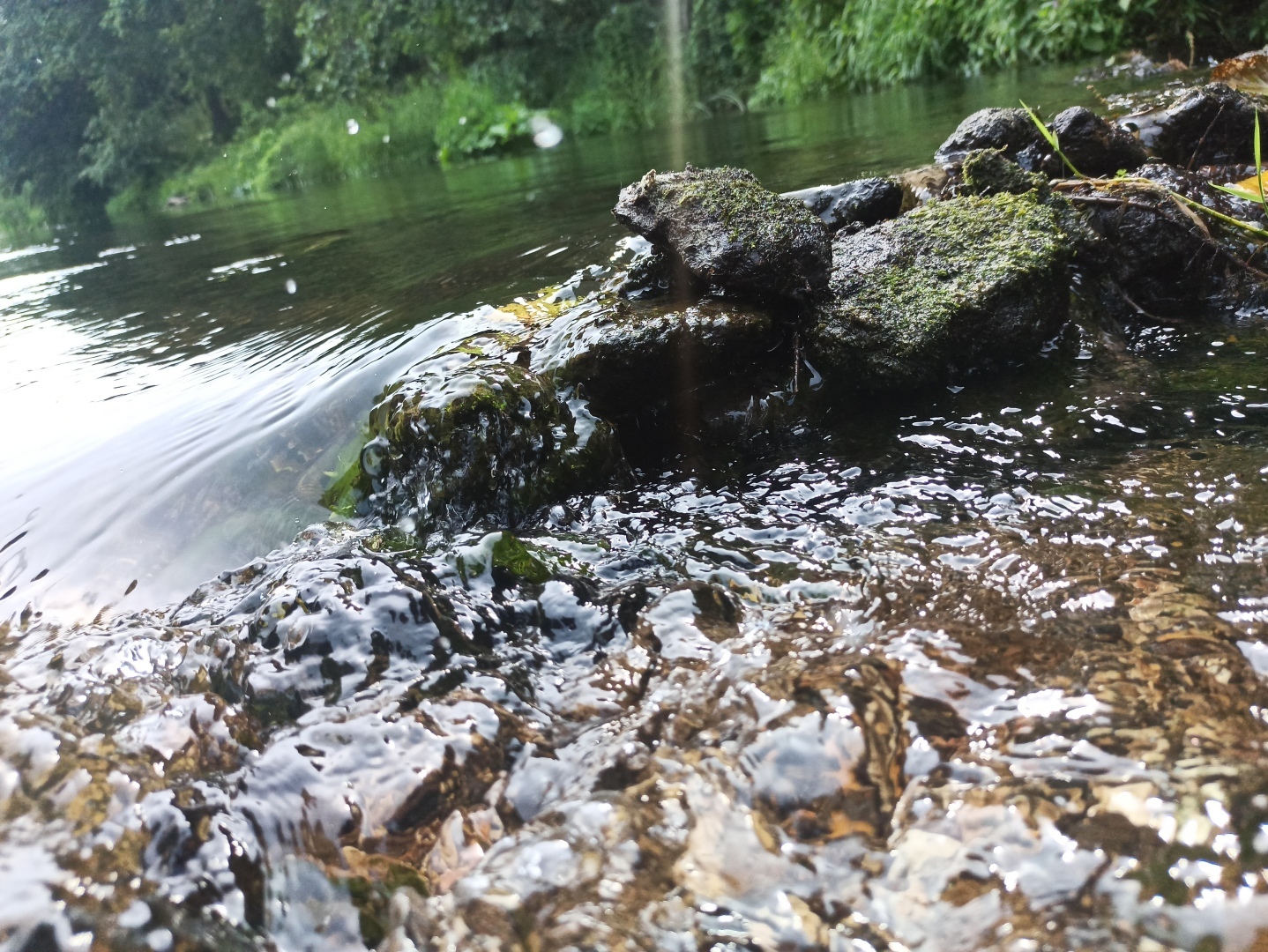 Хочу поделится красотой :)