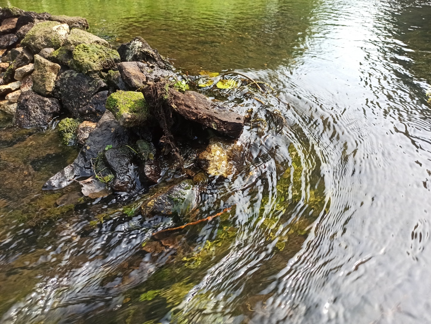 Хочу поделится красотой :)