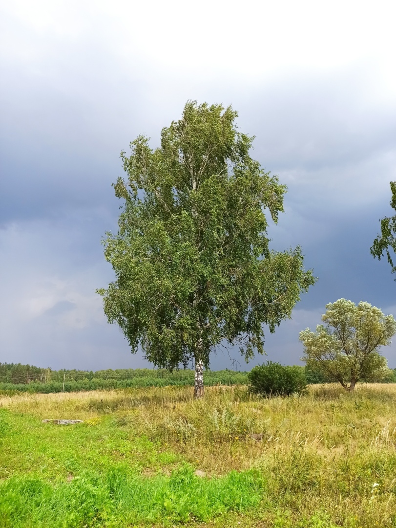 Хочу поделится красотой :)