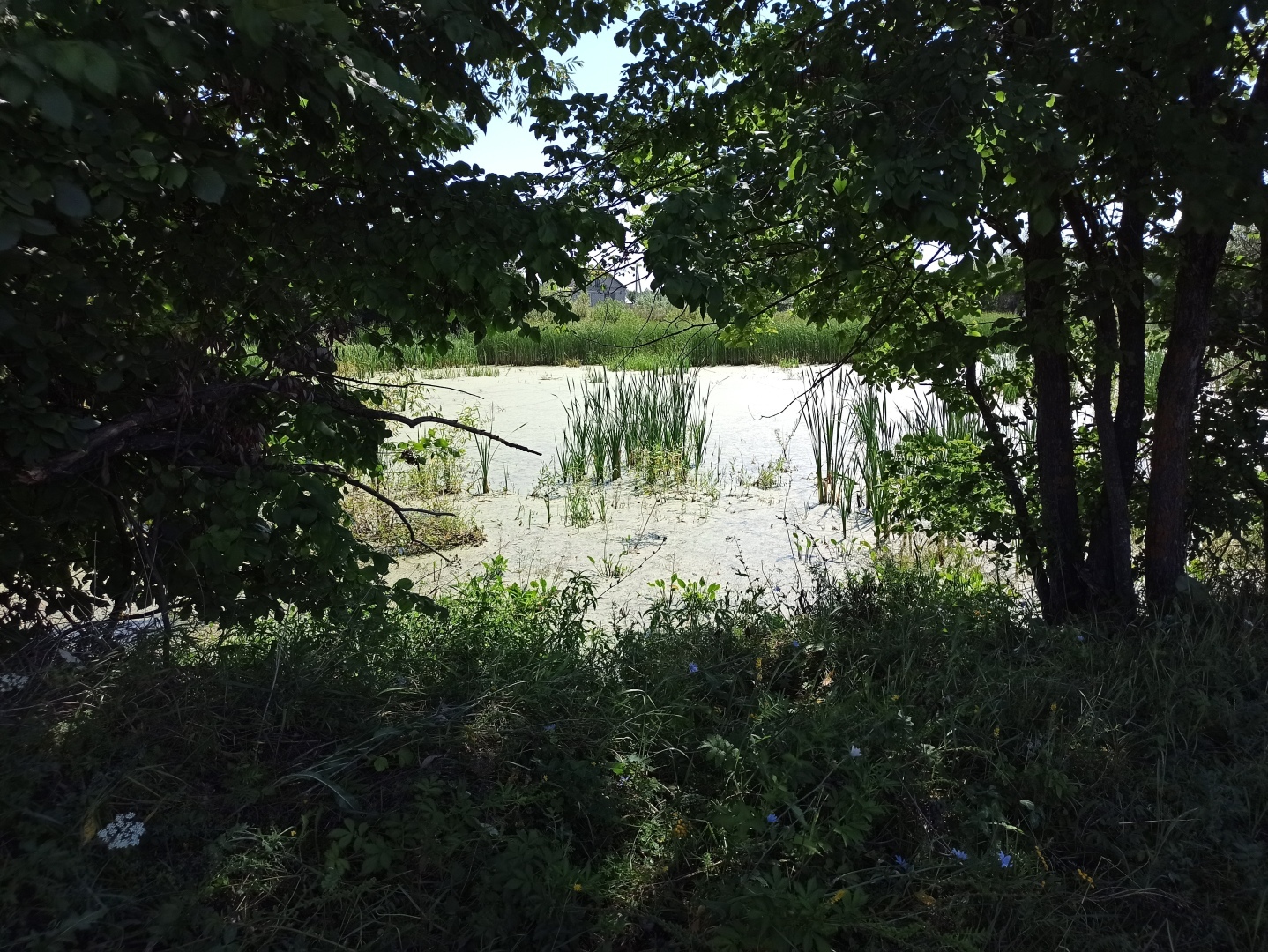 Хочу поделится красотой :)