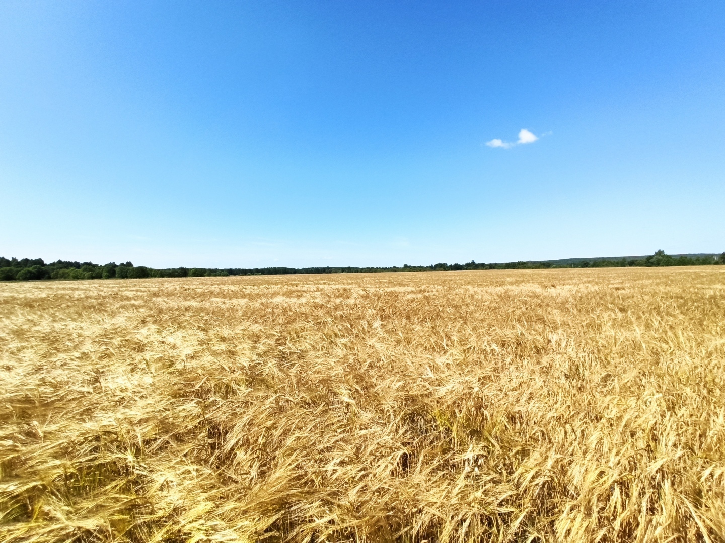 Хочу поделится красотой :)