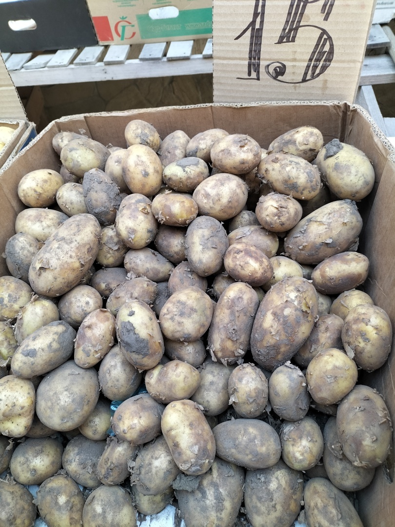 Небывалое снижение цен. Картошка по 15 рублей. Сколько стоят этим летом овощи и фрукты в Крыму - фото ценников с крымского рынка