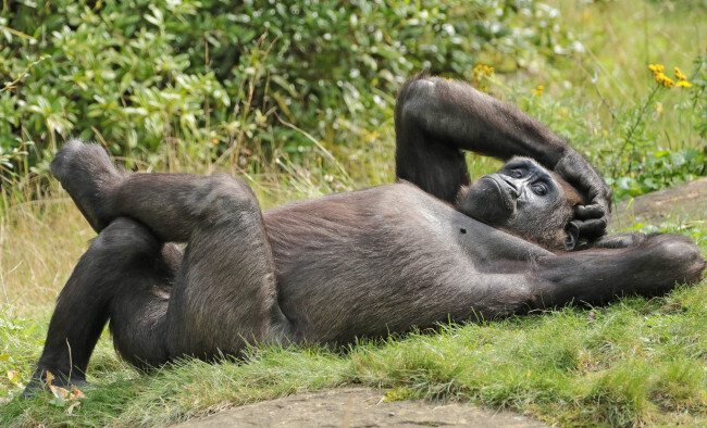 Господа, насладитесь красотой природы и пусть ваши сердца будут добрее