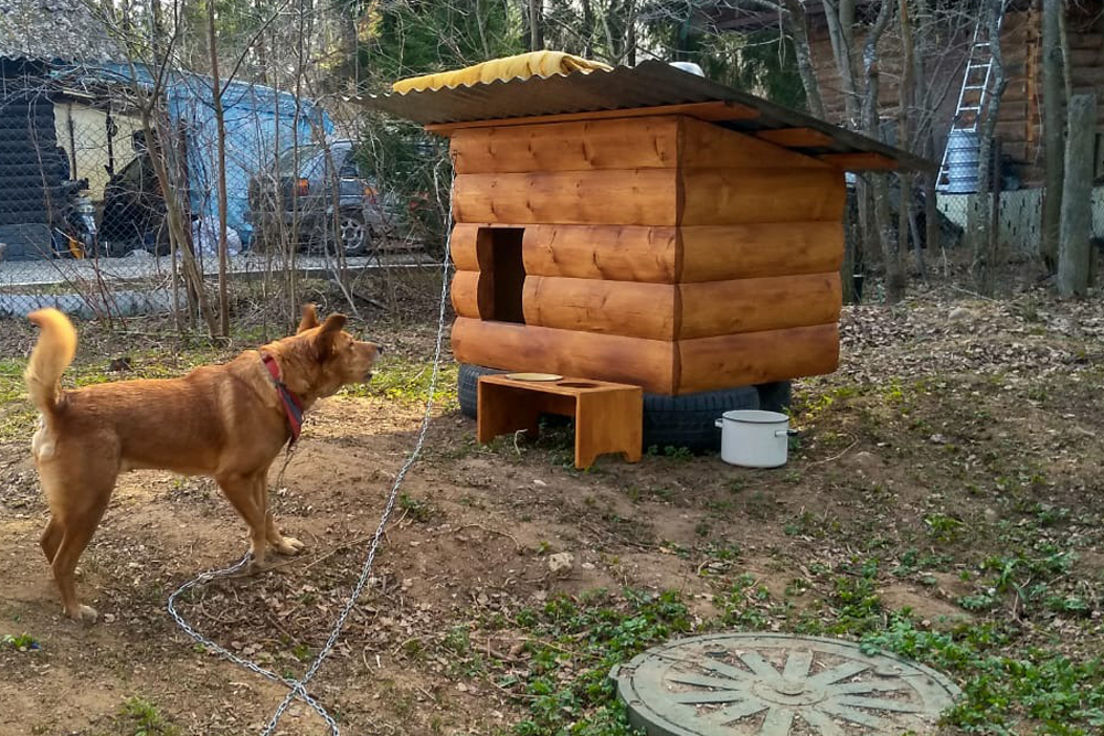 Налог на дарованное – какие налоги платим на даче?